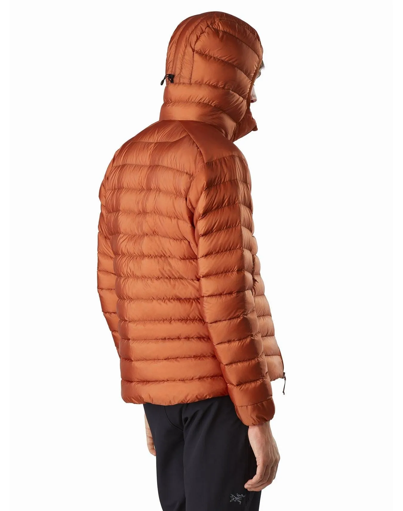 Arc'teryx Men's Cerium LT Hoody