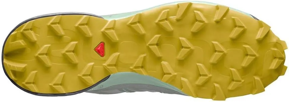 Salomon Women's Speedcross 5 Gore-tex Trail Running Shoes
