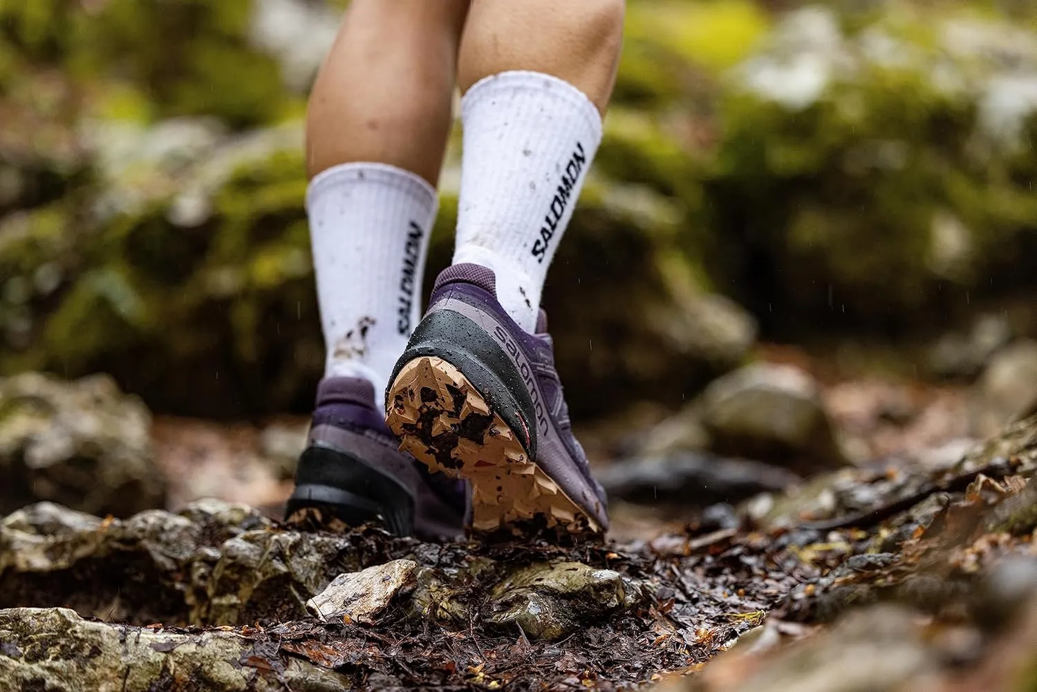 Salomon Women's Speedcross 5 Gore-tex Trail Running Shoes